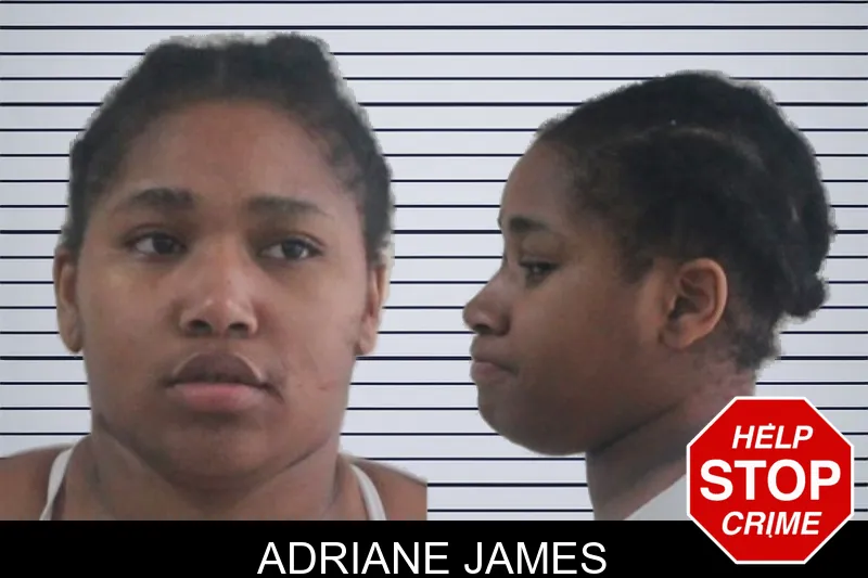 Adriane James mugshot
