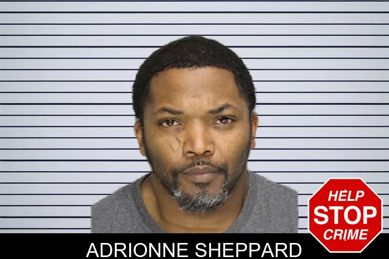 Adrionne Sheppard mugshot – Cobb County , Georgia Adrionne Sheppard mugshot