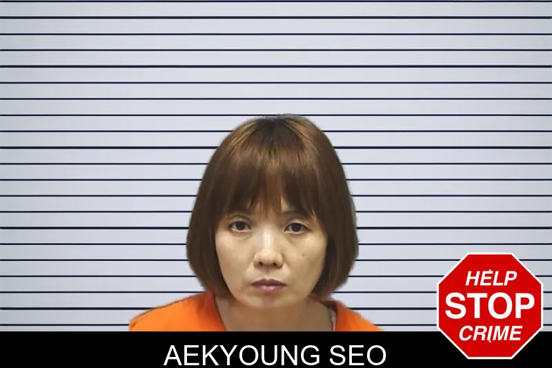 Aekyoung Seo mugshot