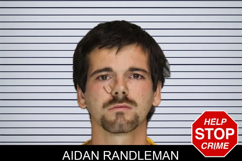 Aidan Randleman mugshot