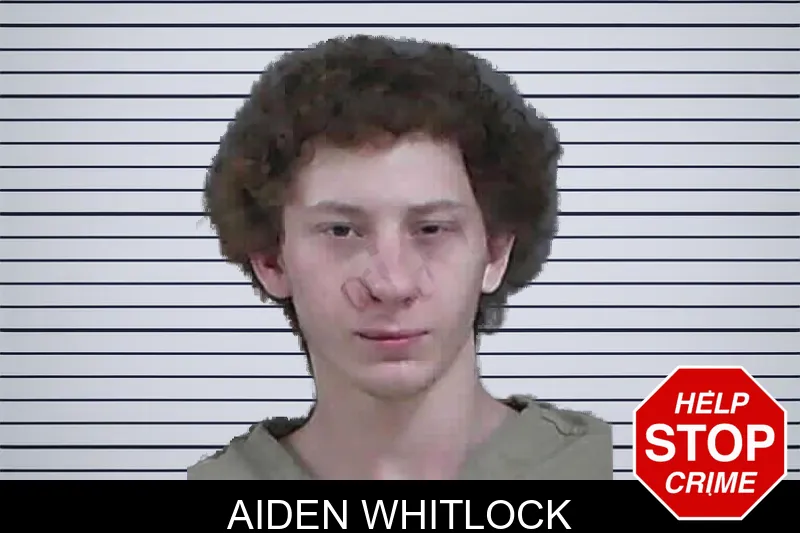 Aiden Whitlock mugshot