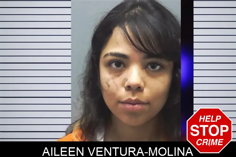 Aileen Ventura-Molina mugshot