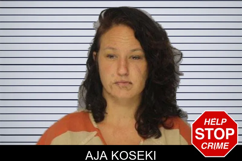 Aja Koseki mugshot