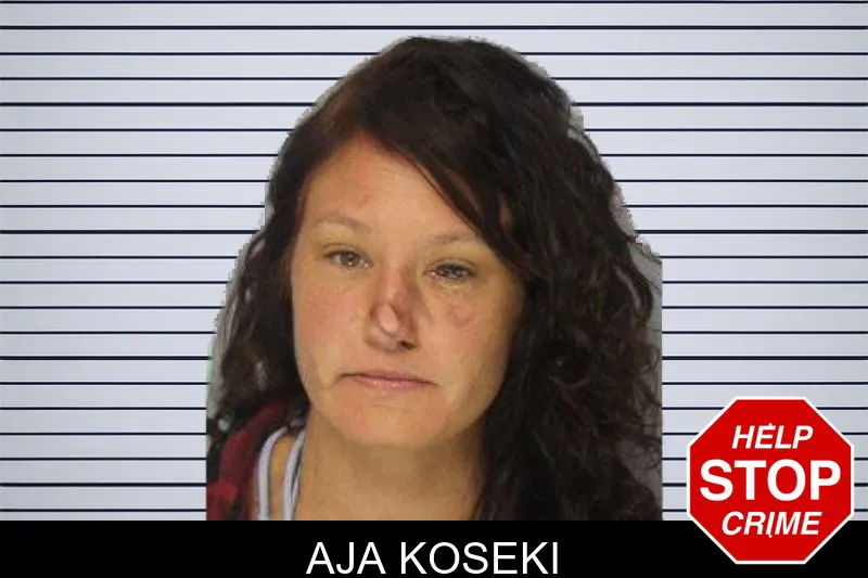 Aja Koseki mugshot