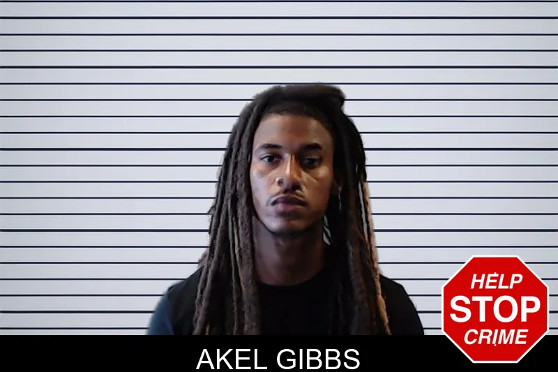 Akel Gibbs mugshot