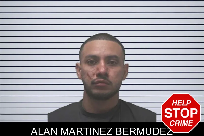 Alan Martinez Bermudez mugshot