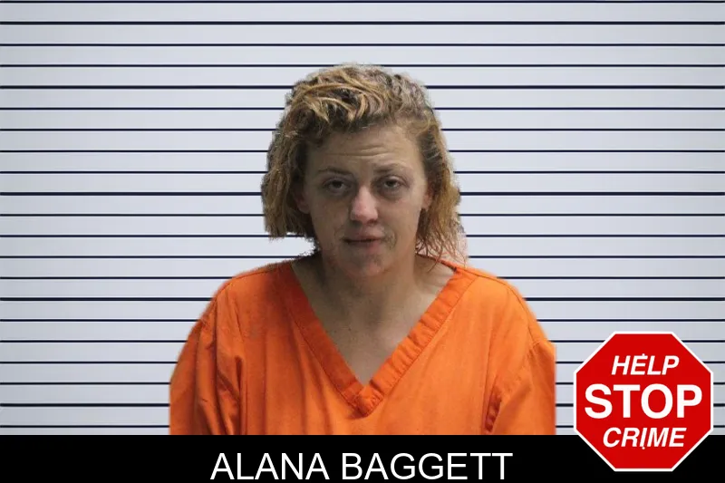 Alana Baggett mugshot
