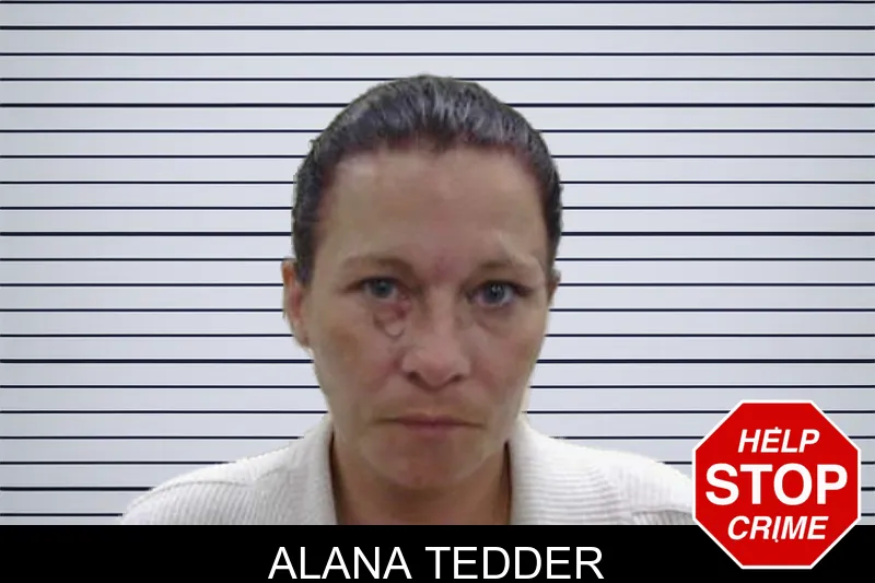 Alana Tedder mugshot
