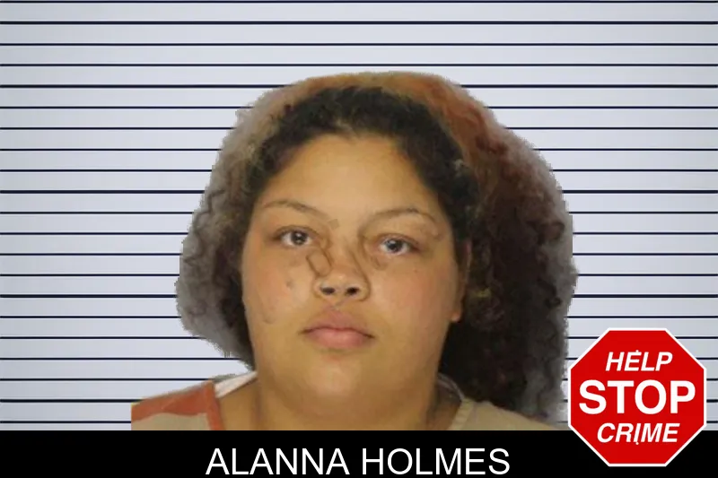 Alanna Holmes mugshot – Hall County , Georgia Alanna Holmes mugshot
