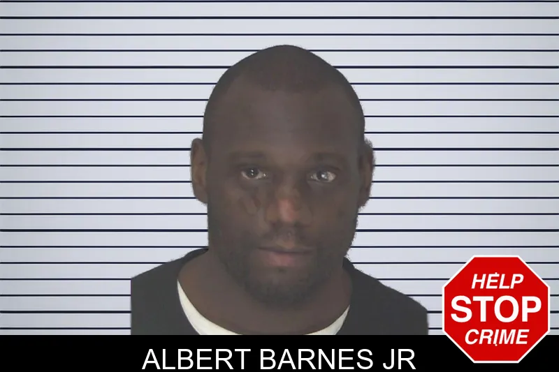 Albert Barnes Jr mugshot