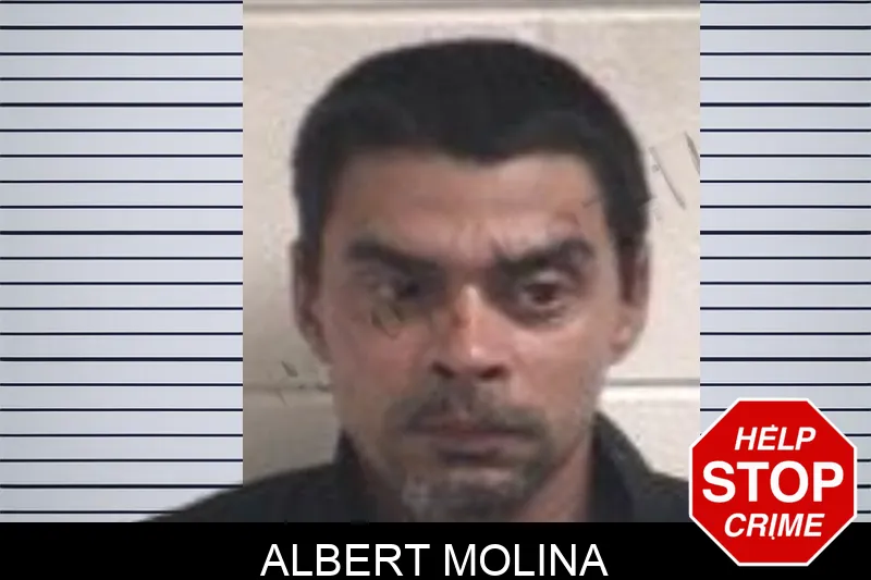 Albert Molina mugshot