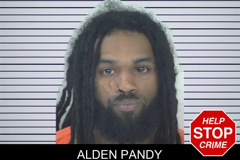 Alden Pandy mugshot