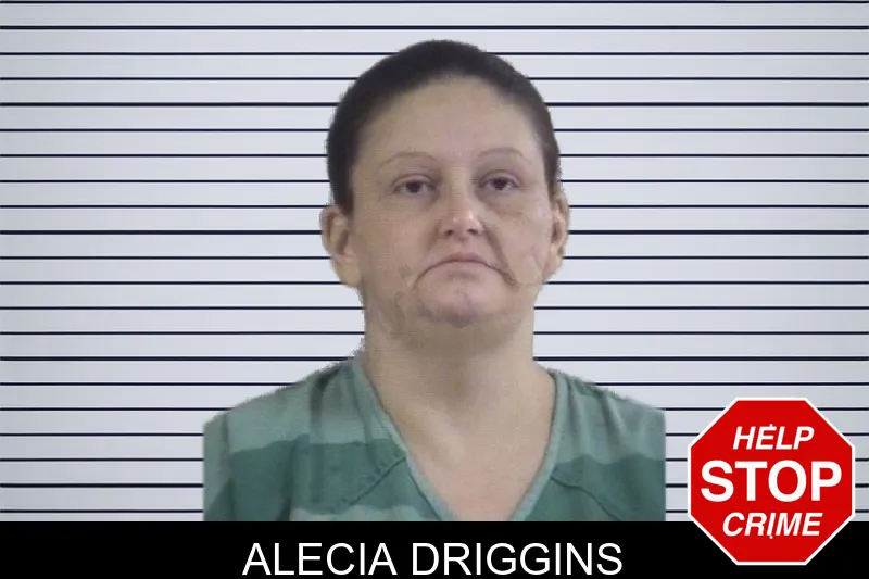 Alecia Driggins mugshot