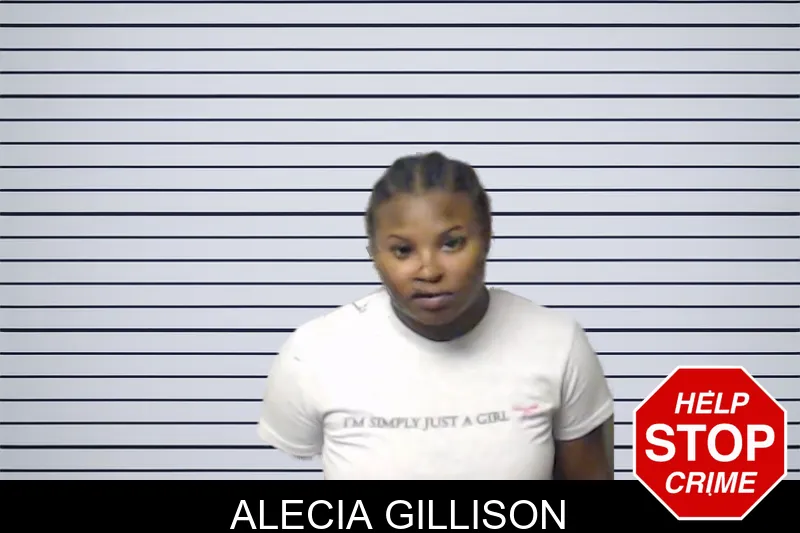 Alecia Gillison mugshot