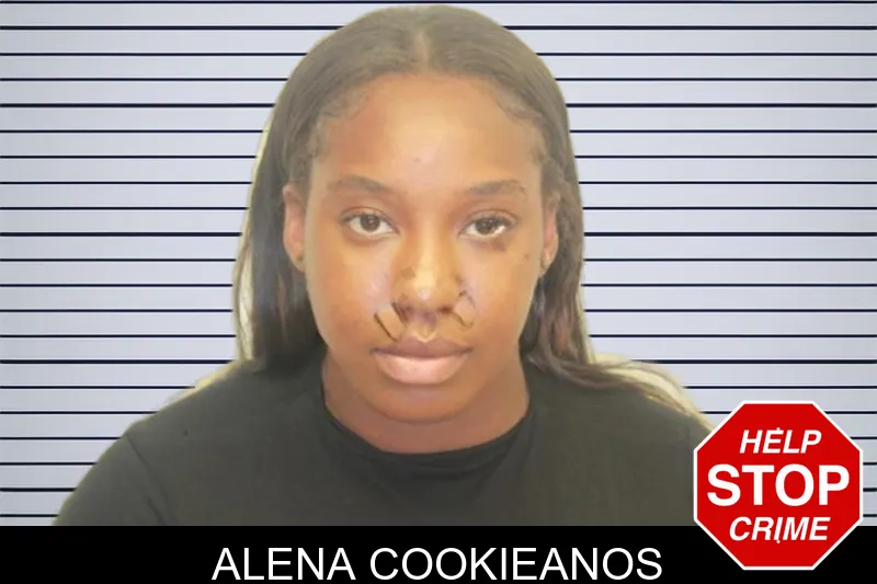Alena Cookieanos mugshot