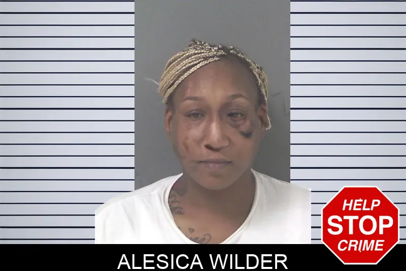 Alesica Wilder mugshot