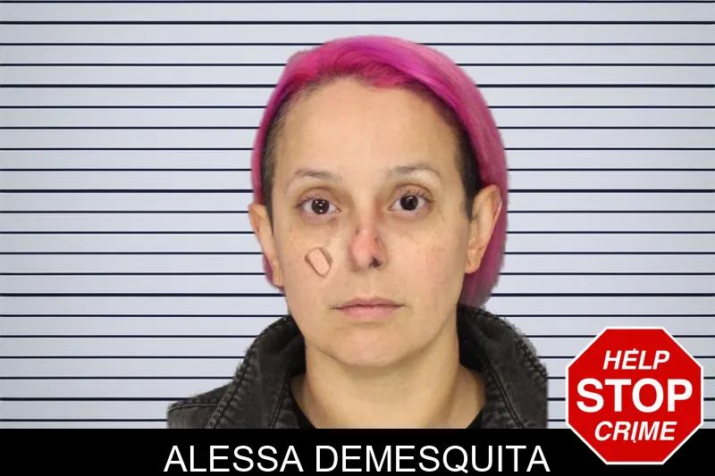 Alessa Demesquita mugshot
