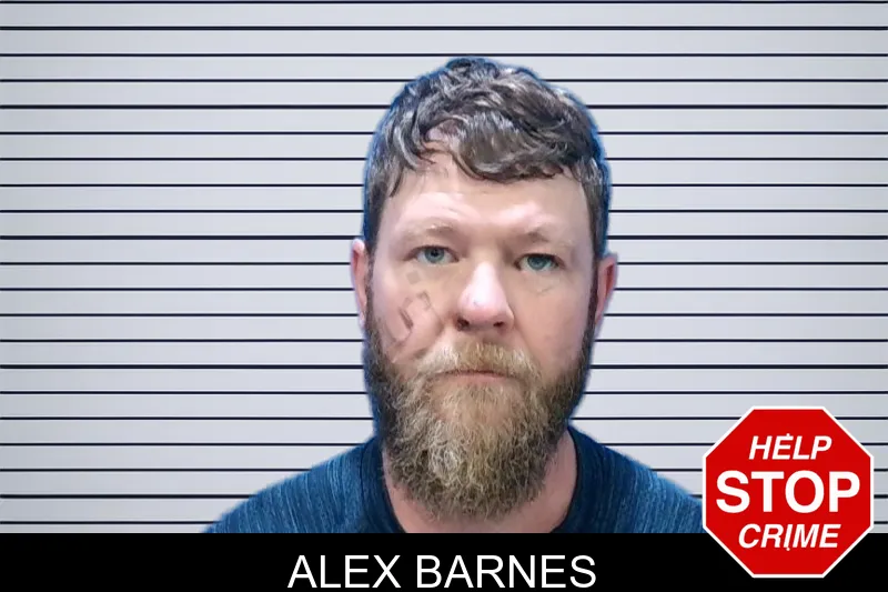 Alex Barnes mugshot