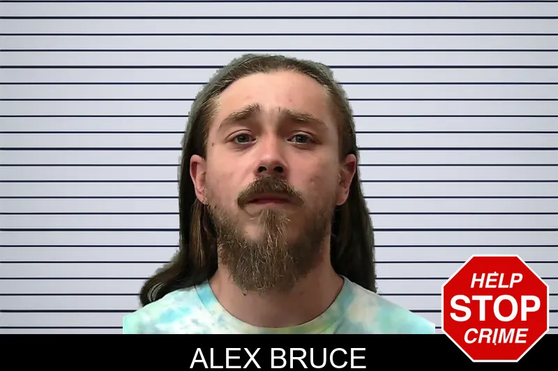 Alex Bruce mugshot