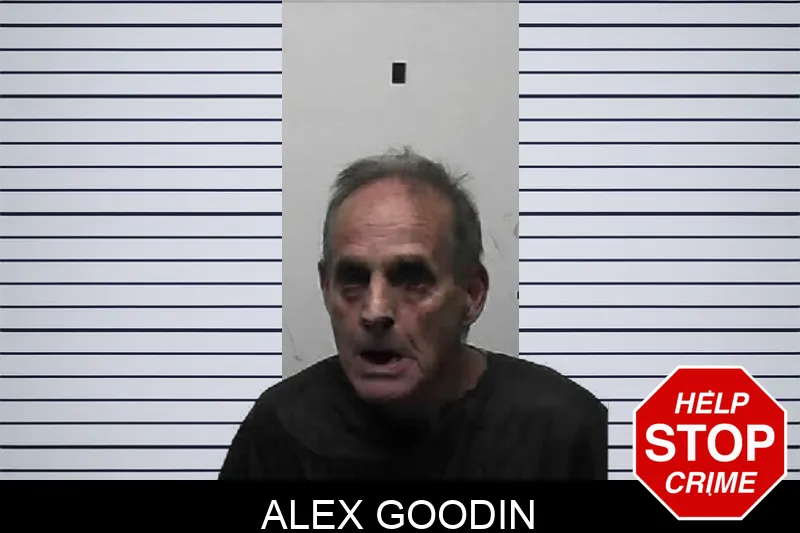 Alex Goodin mugshot