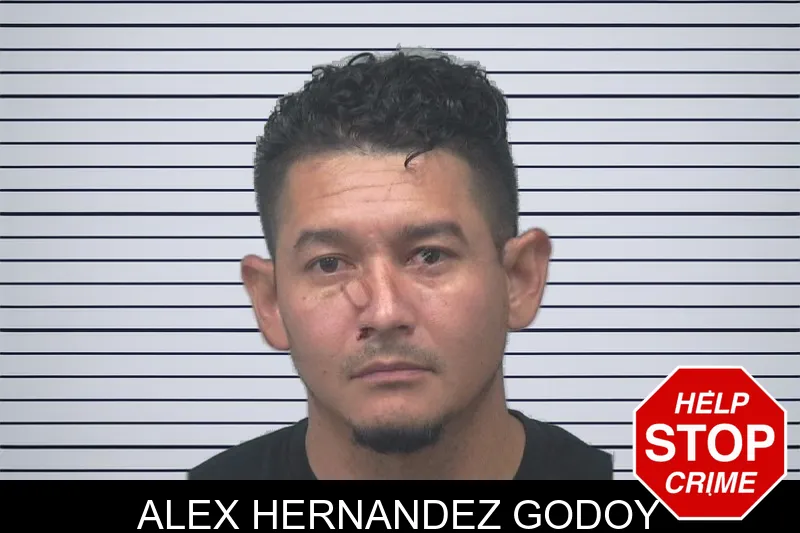 Alex Hernandez Godoy mugshot