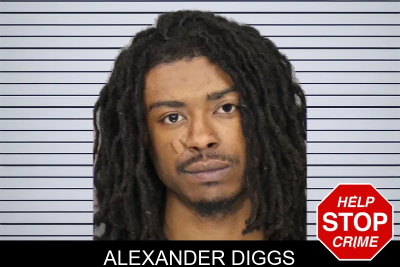 Alexander Diggs mugshot