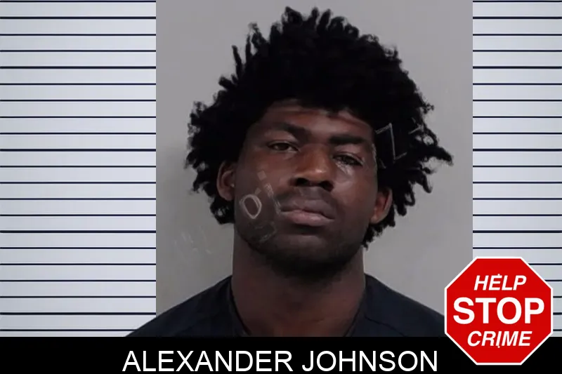 Alexander Johnson mugshot