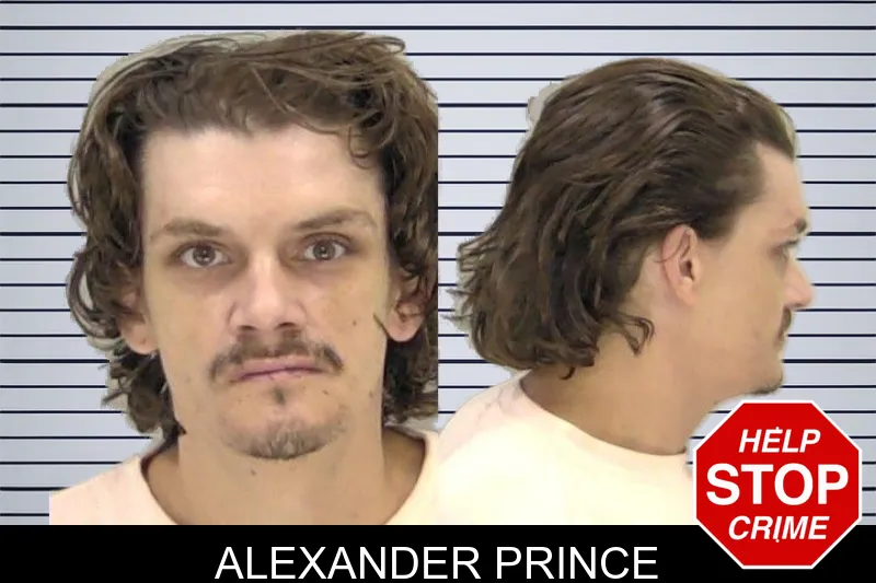 Alexander Prince mugshot