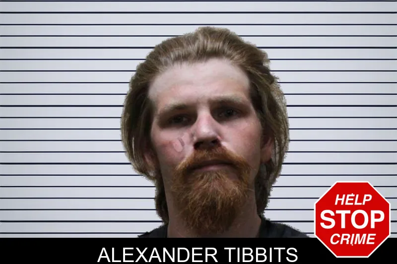 Alexander Tibbits mugshot