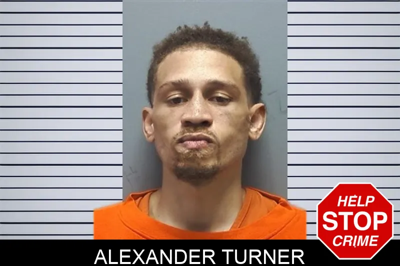 Alexander Turner mugshot