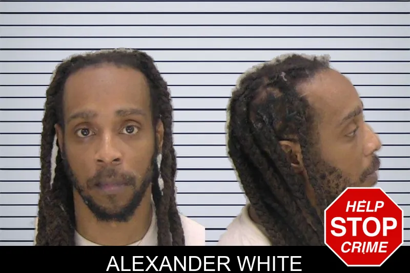 Alexander White mugshot