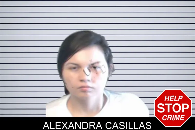 Alexandra Casillas mugshot