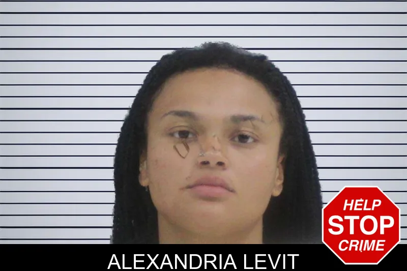 Alexandria Levit mugshot