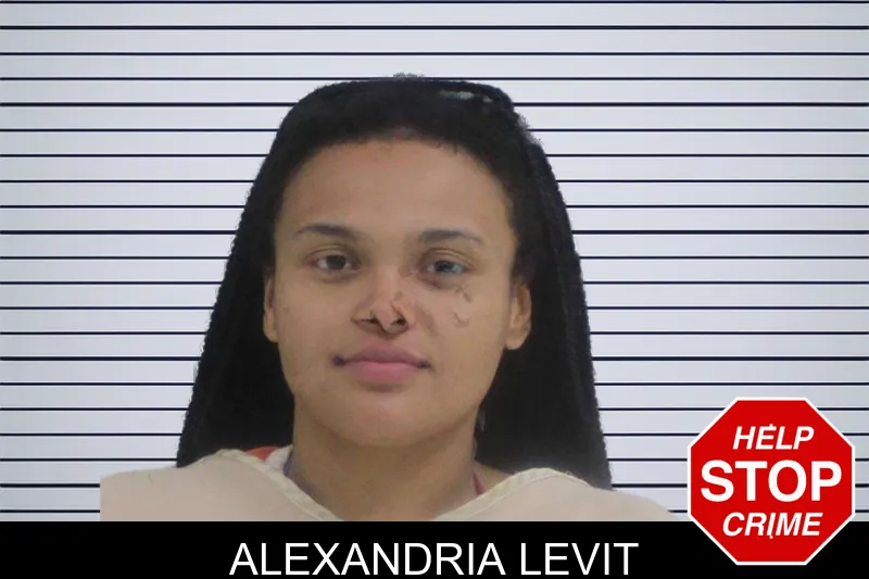 Alexandria Levit mugshot