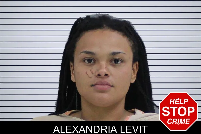 Alexandria Levit mugshot