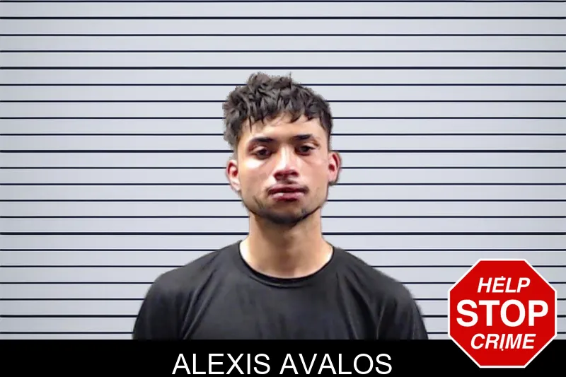 Alexis Avalos mugshot
