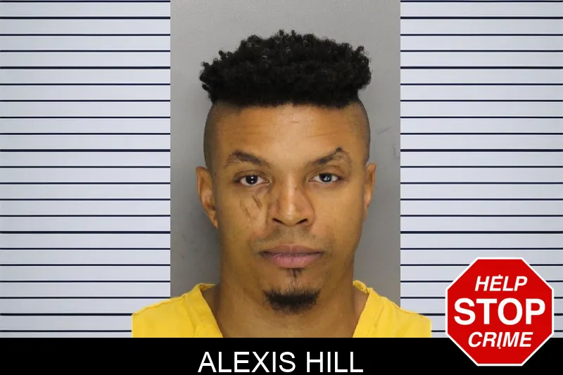 Alexis Hill mugshot