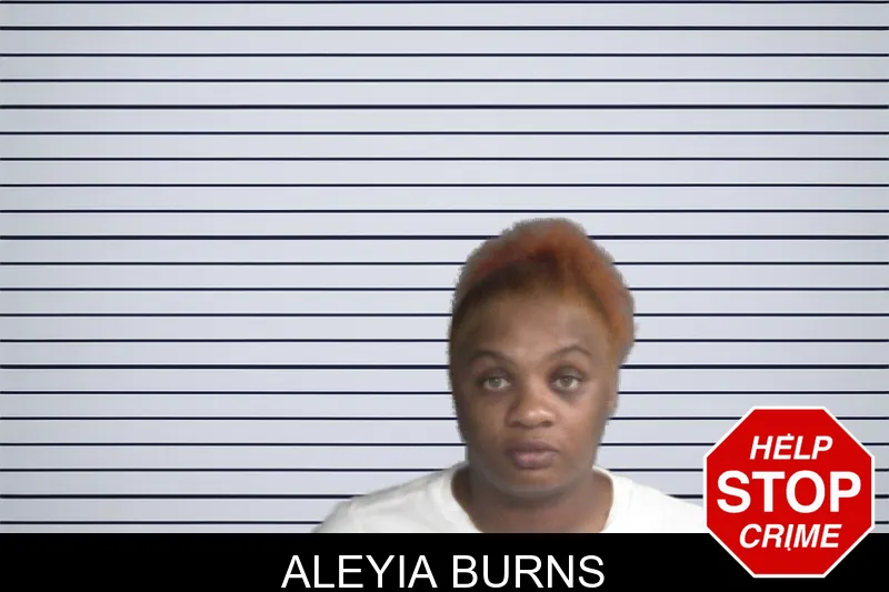 Aleyia Burns mugshot