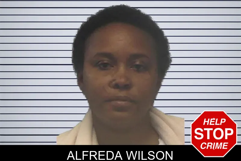Alfreda Wilson mugshot