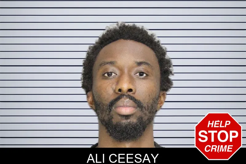 Ali Ceesay mugshot