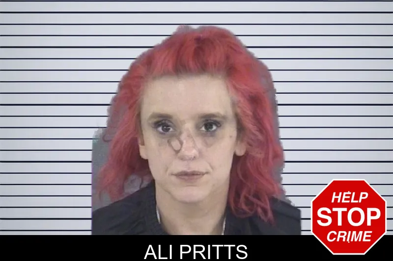 Ali Pritts mugshot
