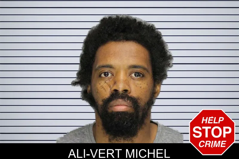 Ali-Vert Michel mugshot