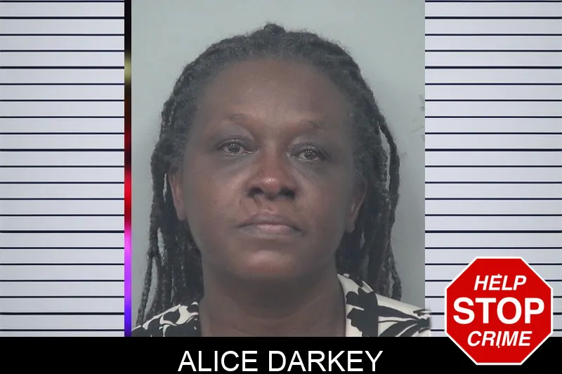 Alice Darkey mugshot