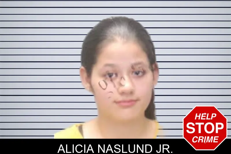 Alicia Naslund Jr. mugshot