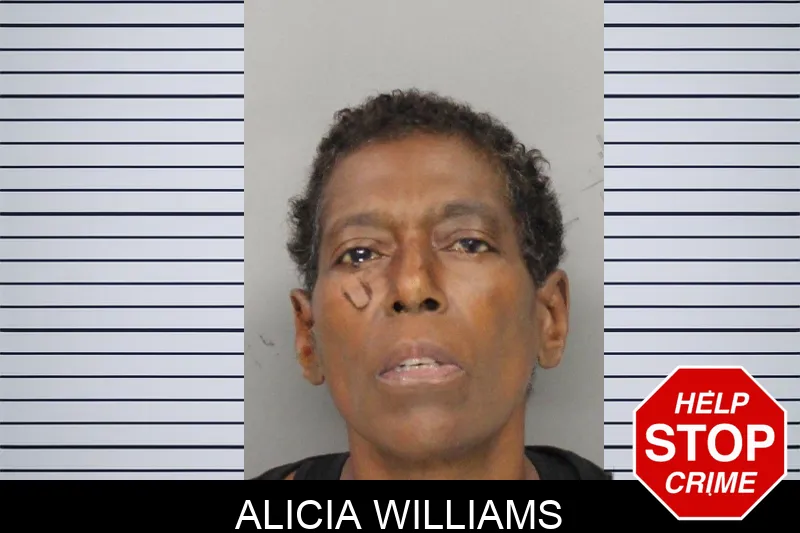 Alicia Williams mugshot