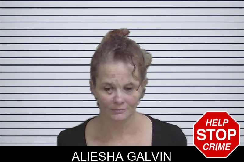 Aliesha Galvin mugshot