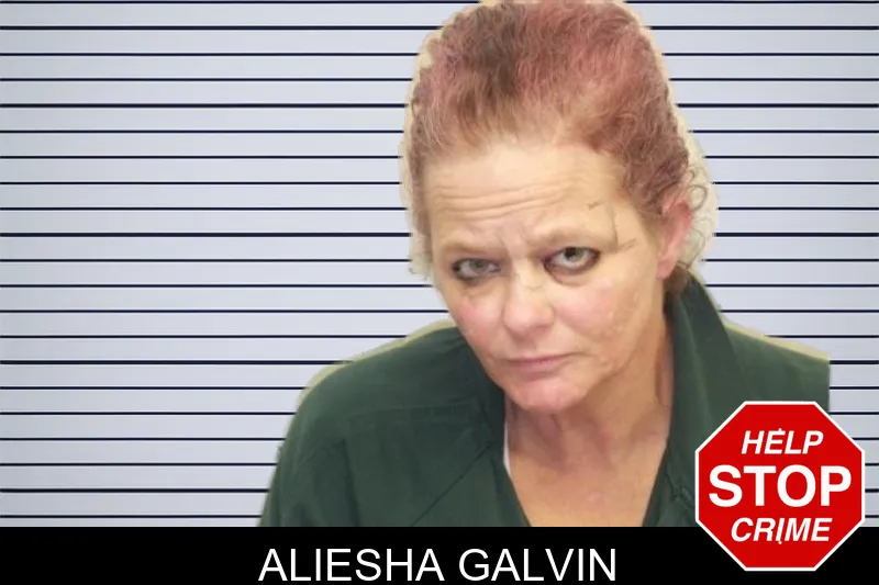 Aliesha Galvin mugshot