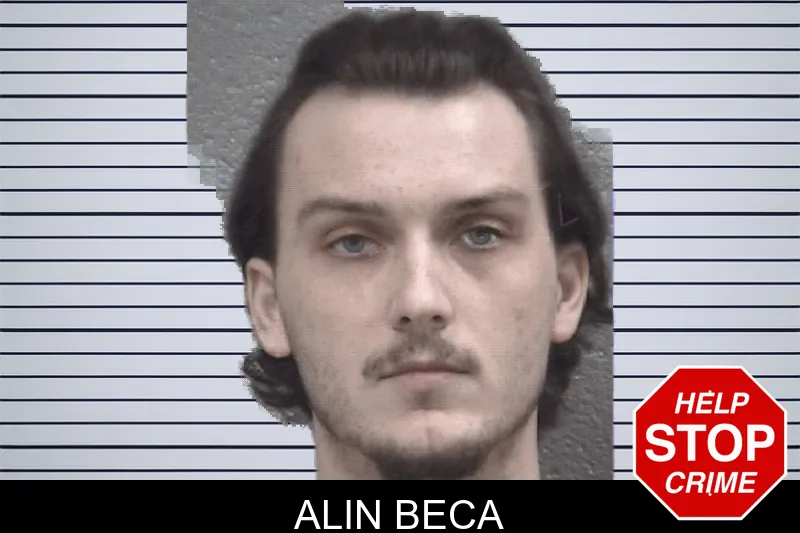 Alin Beca mugshot