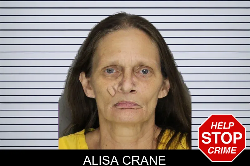 Alisa Crane mugshot