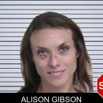 Alison Gibson mugshot